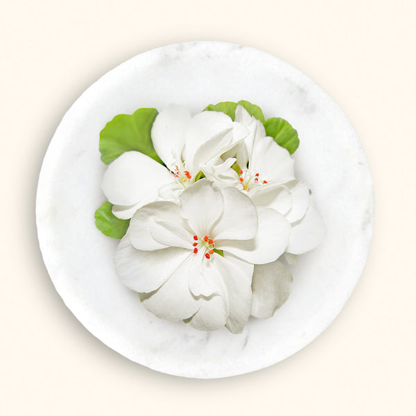 Exploring the Benefits of Geranium in Natural Skincare: A Guide to Herb'N Eden's Eco-Friendly Products