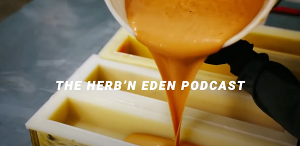 Introducing the herb’neden podcast with Terran Lewis