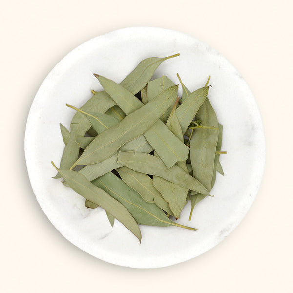 Discover Eucalyptus Oil Benefits for Soothing Relief
