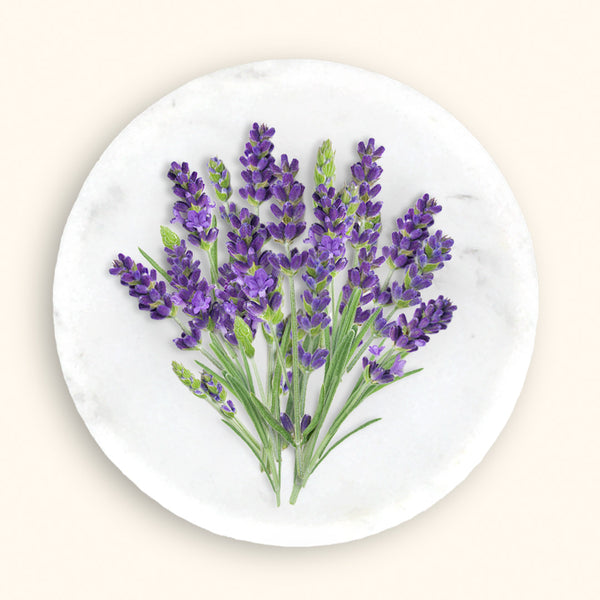 Lavender for Soap: Natural Body Care