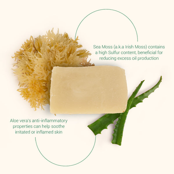 Sea Moss Benefits: Skincare Boost