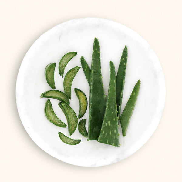 Aloe Vera Benefits: Natural Skin Care with Aloe Products