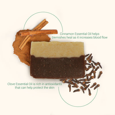 Cinnamon & Spice Bar Soap